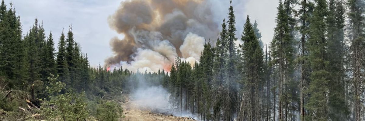 A fire rises above pine trees.
