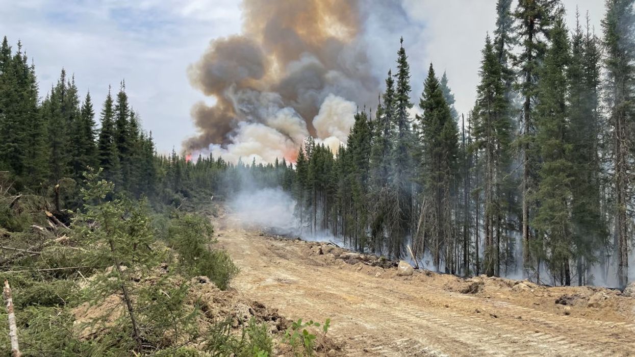A fire rises above pine trees.