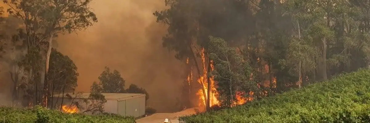 Pouring Coal on the Fires, Aussie PM Rejects Climate Solutions as Country Burns