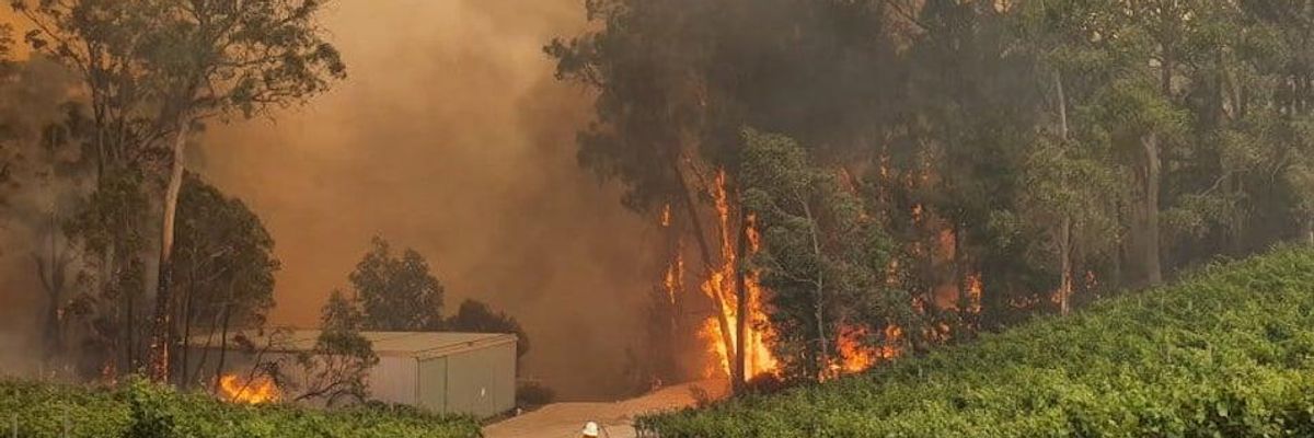 Pouring Coal on the Fires, Aussie PM Rejects Climate Solutions as Country Burns