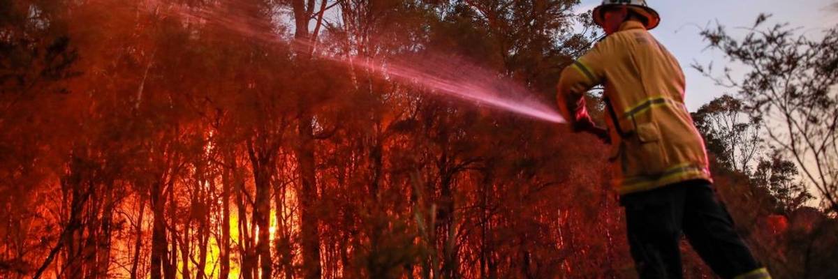 A firefighter attempt to extinguish a bush fire