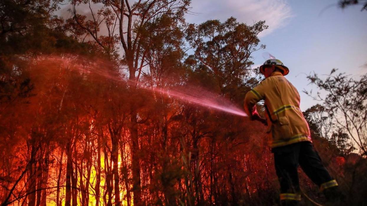 A firefighter attempt to extinguish a bush fire