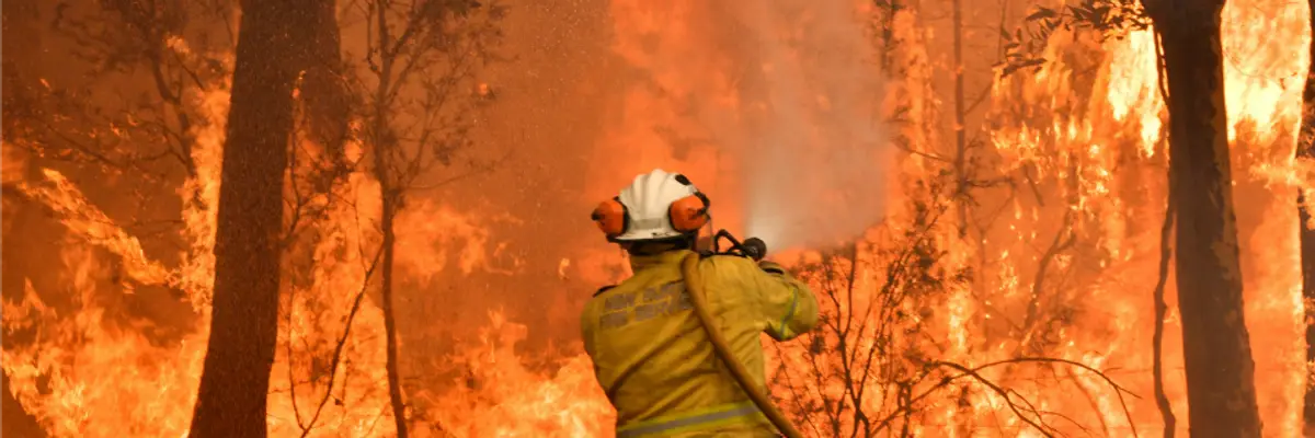 Australia's Tragedy Is a Cautionary Tale for the US Presidential Election