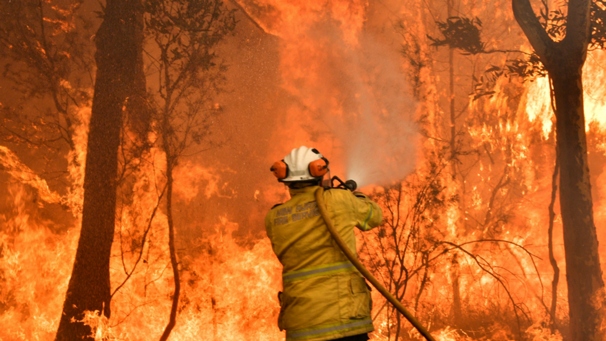 Australia's Tragedy Is a Cautionary Tale for the US Presidential Election