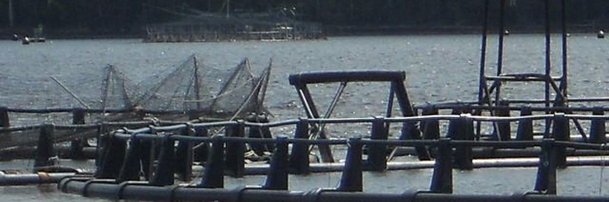 Canadian Company Threatens NAFTA Investor-State Challenge Over Washington State Legislation Against Fish Farms