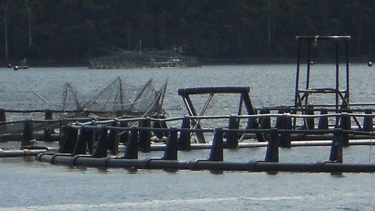 Canadian Company Threatens NAFTA Investor-State Challenge Over Washington State Legislation Against Fish Farms