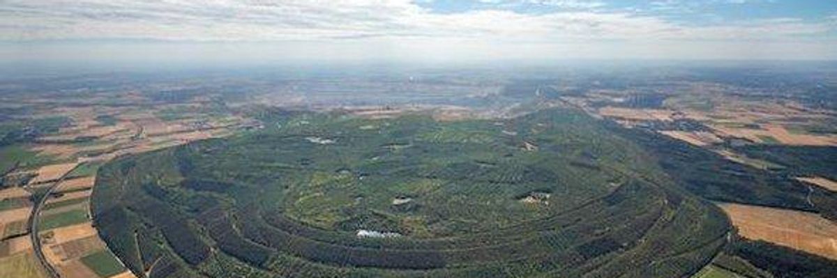 The Best Technology for Fighting Climate Change Isn't a Technology: It's Forests