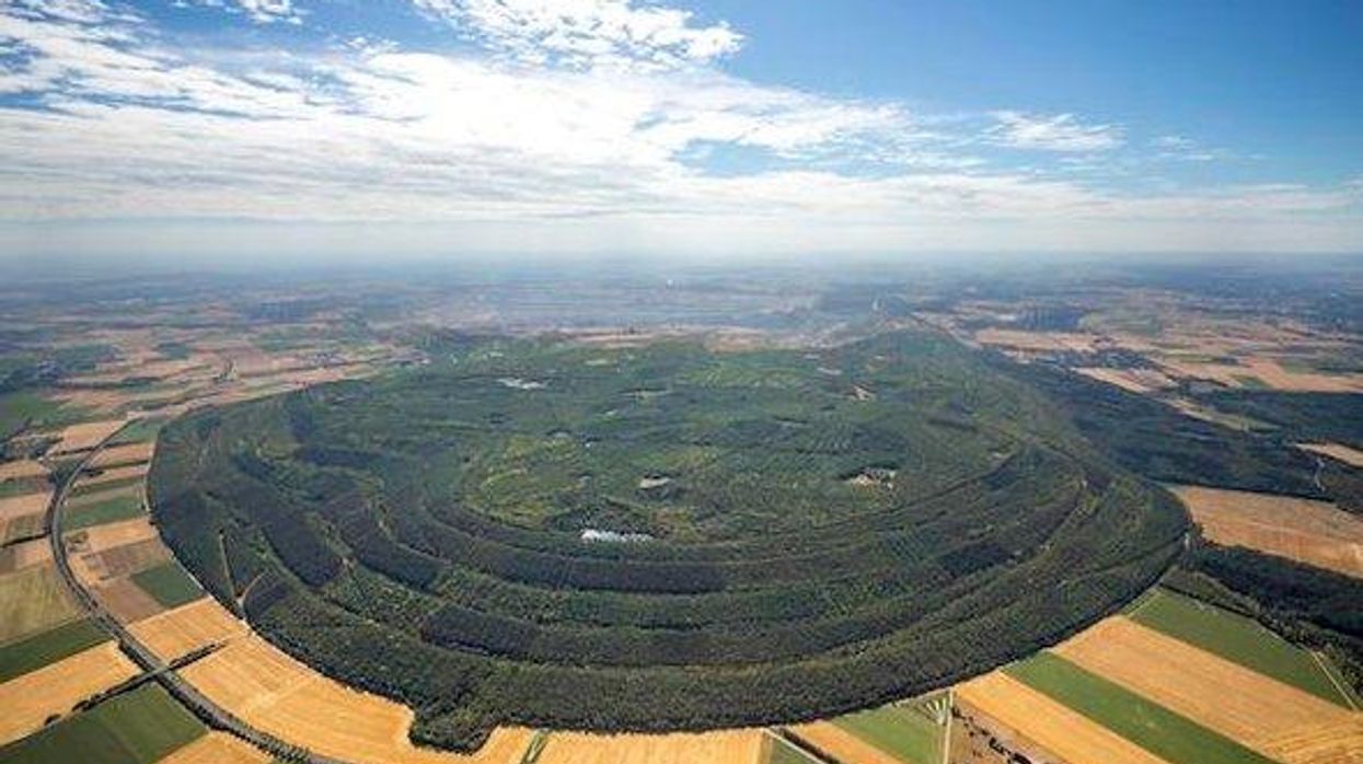 The Best Technology for Fighting Climate Change Isn't a Technology: It's Forests