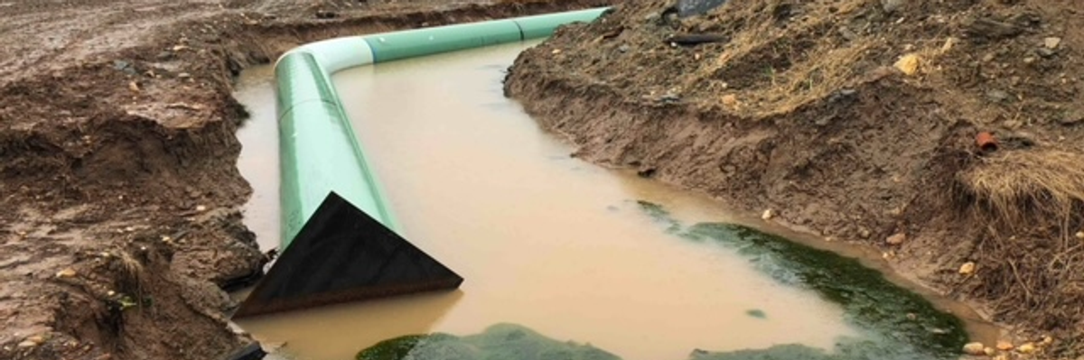 A green pipeline piece in brown water.