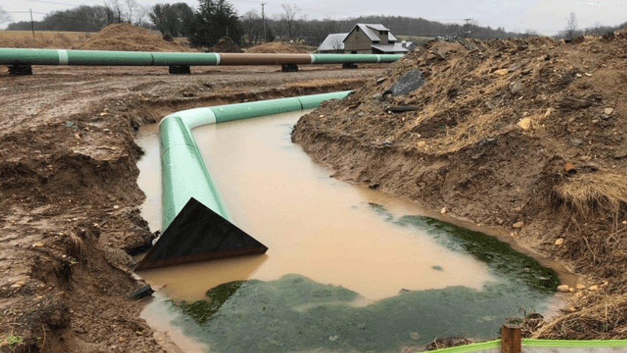 A green pipeline piece in brown water.