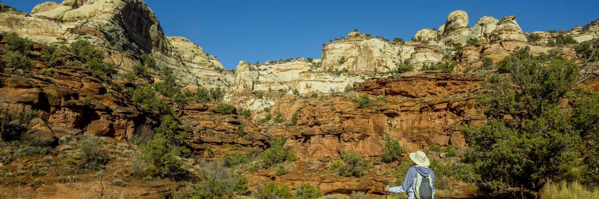 A hiker on the Calf Creek Trail to Calf Creek Falls, Grand...