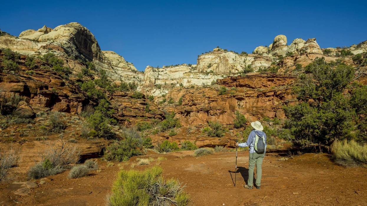 A hiker on the Calf Creek Trail to Calf Creek Falls, Grand...