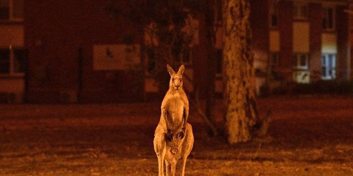 Fri Jan 3, 2020 11:57 AM Fri Jan 3, 2020 11:57 AM