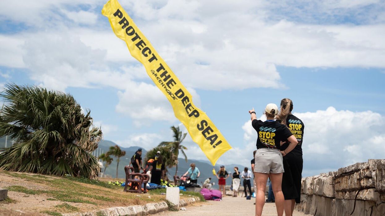 A kite reading, "Protect the Deep Sea" flies in the sky.