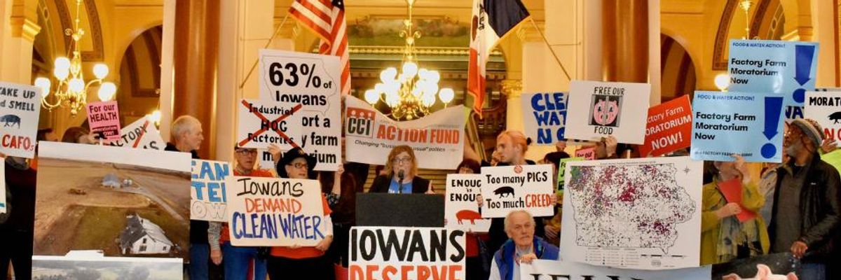 Ahead of Iowa Caucus, 2020 Candidates Urged to Back Moratorium on Factory Farms