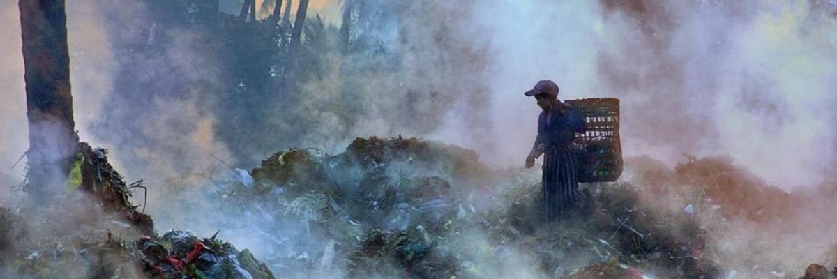 'Dangerous' Decline in Biodiversity Threatening Humanity's Wellbeing Worldwide