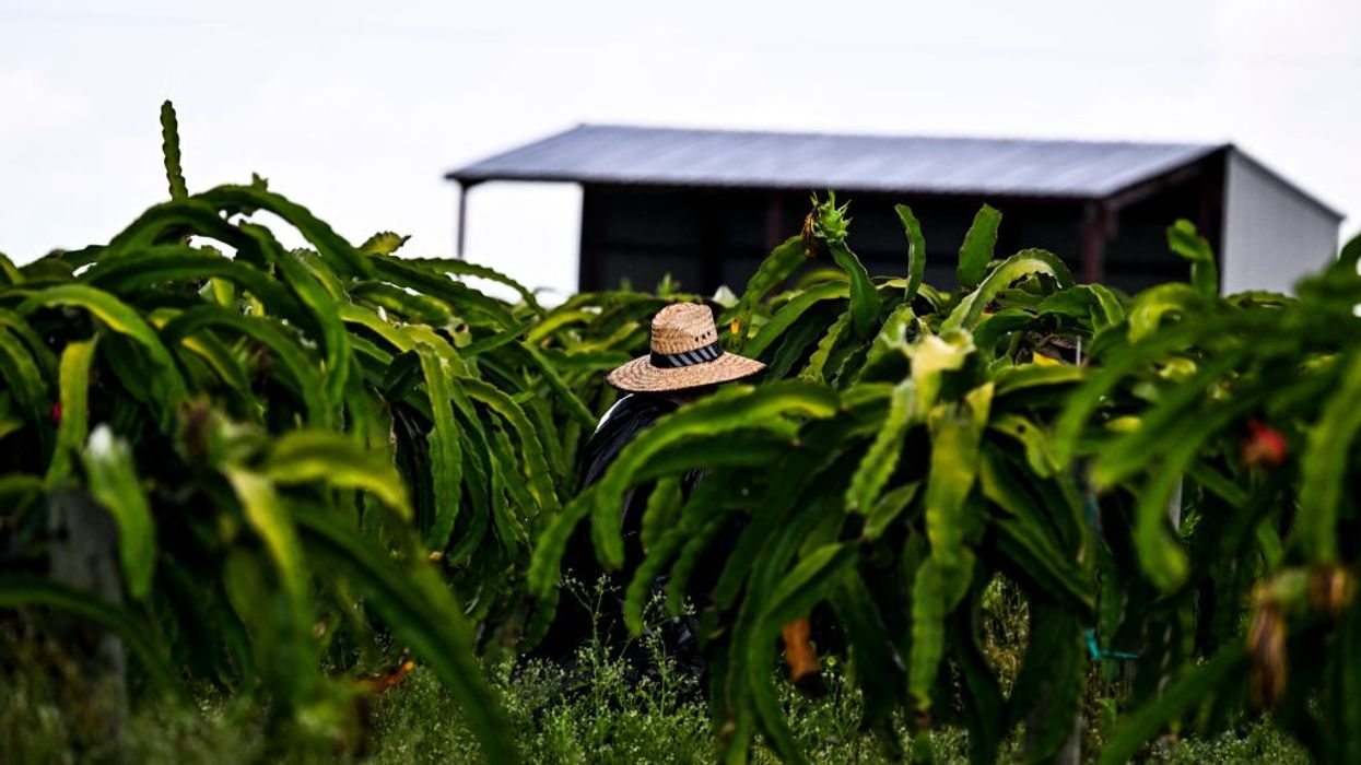 A man in a wide hat works on a farm.