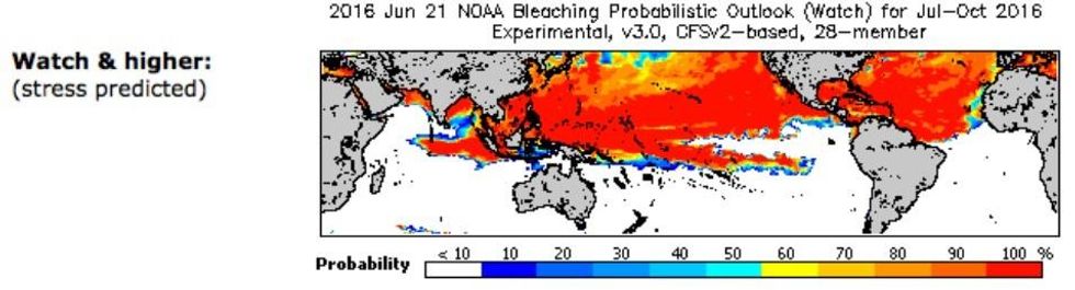 A map shows the regions in the Northern Hemisphere where coral reef stress is predicted. (Image: NOAA)