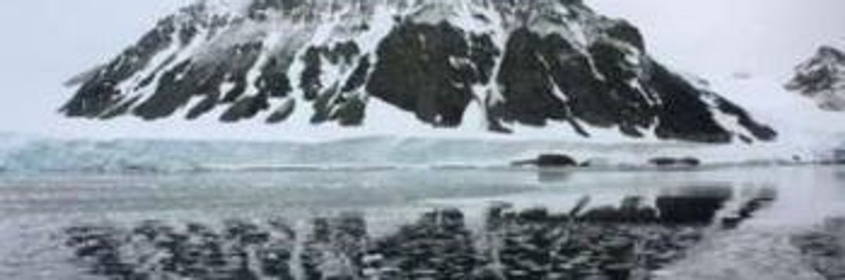 Many Glaciers Will Disappear by Middle of Century and Add to Rising Sea Levels, Expert Warns