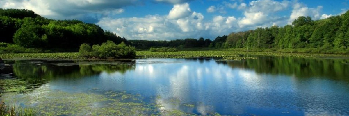 Bold New Campaign Highlights How 'Nature Can Save Us' From Climate and Ecological Breakdown