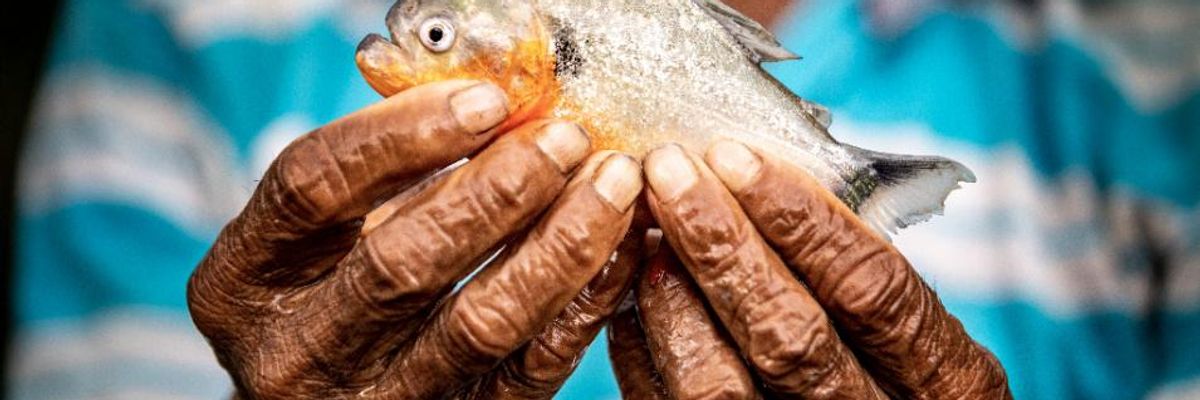 'We Must Heed the Warning': 1 in 3 Freshwater Fishes--Vital to Food and Jobs for Millions--Face Extinction