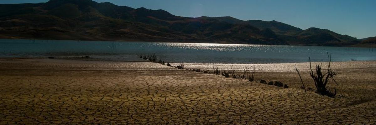To Avoid Water Shortage for 5 Billion by 2050, UN Report Urges Nature-Based Solutions