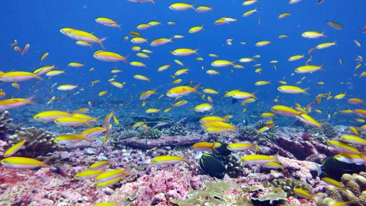 'Scary': Warming of Oceans Is Equivalent to 1.5 Atomic Bombs Every Second Over Past 150 Years