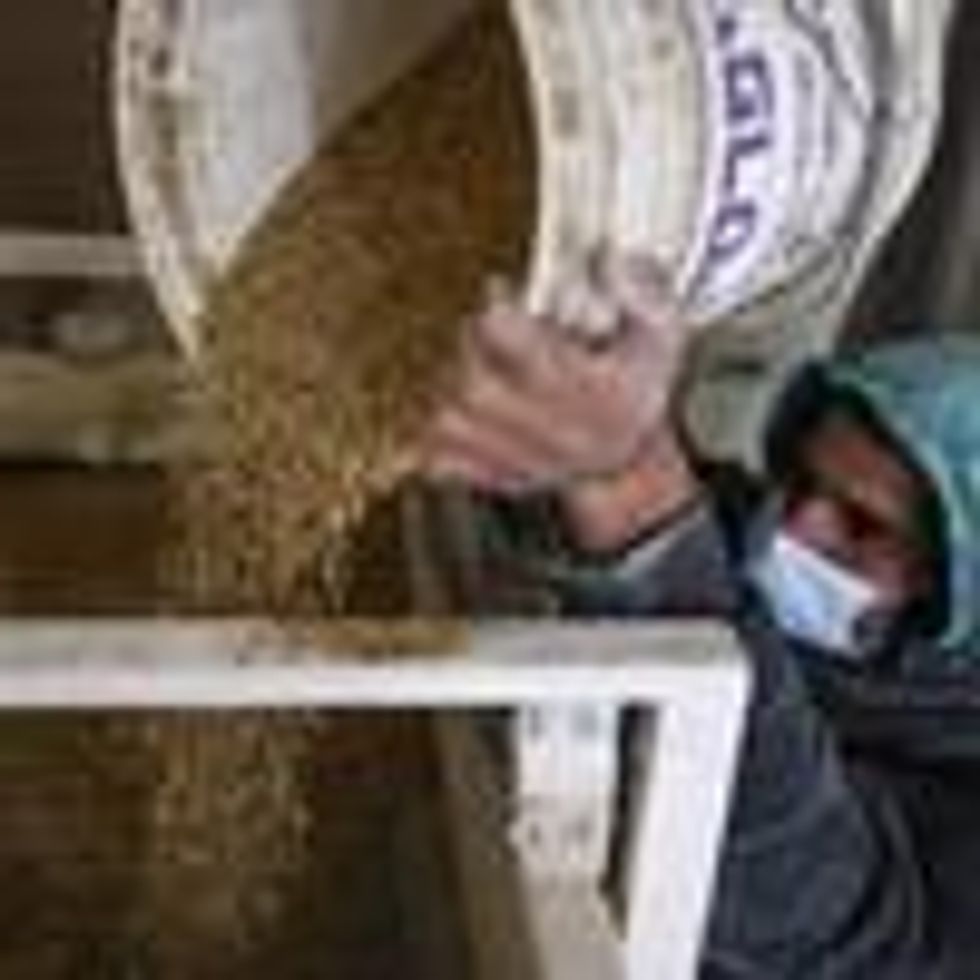 A Palestinian man works in a wheat mill