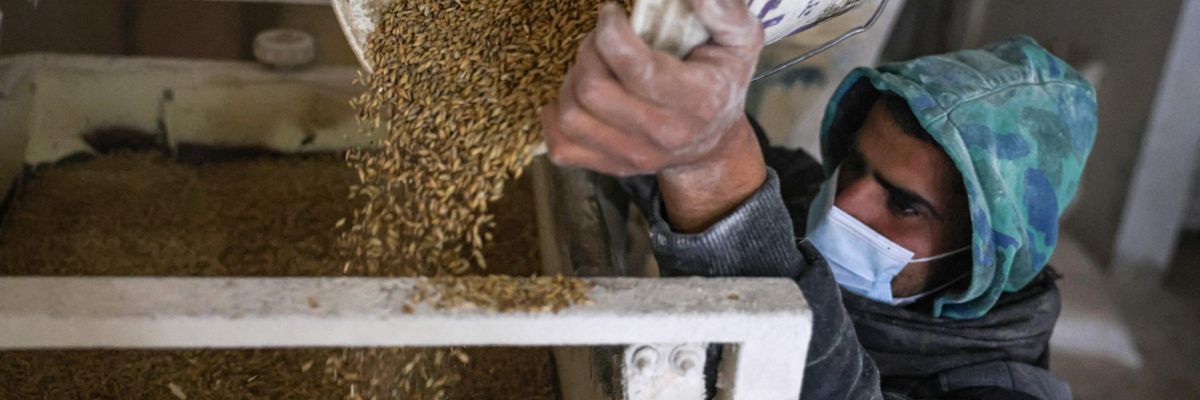 A Palestinian man works in a wheat mill