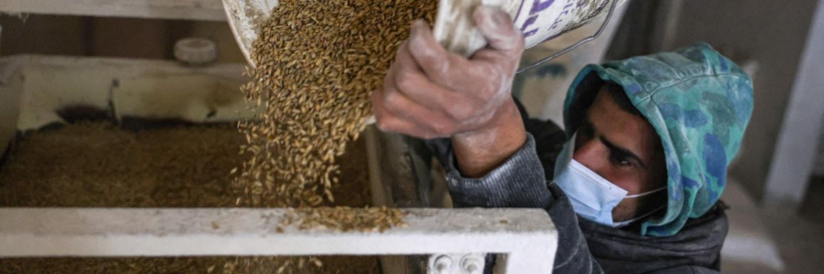 A Palestinian man works in a wheat mill