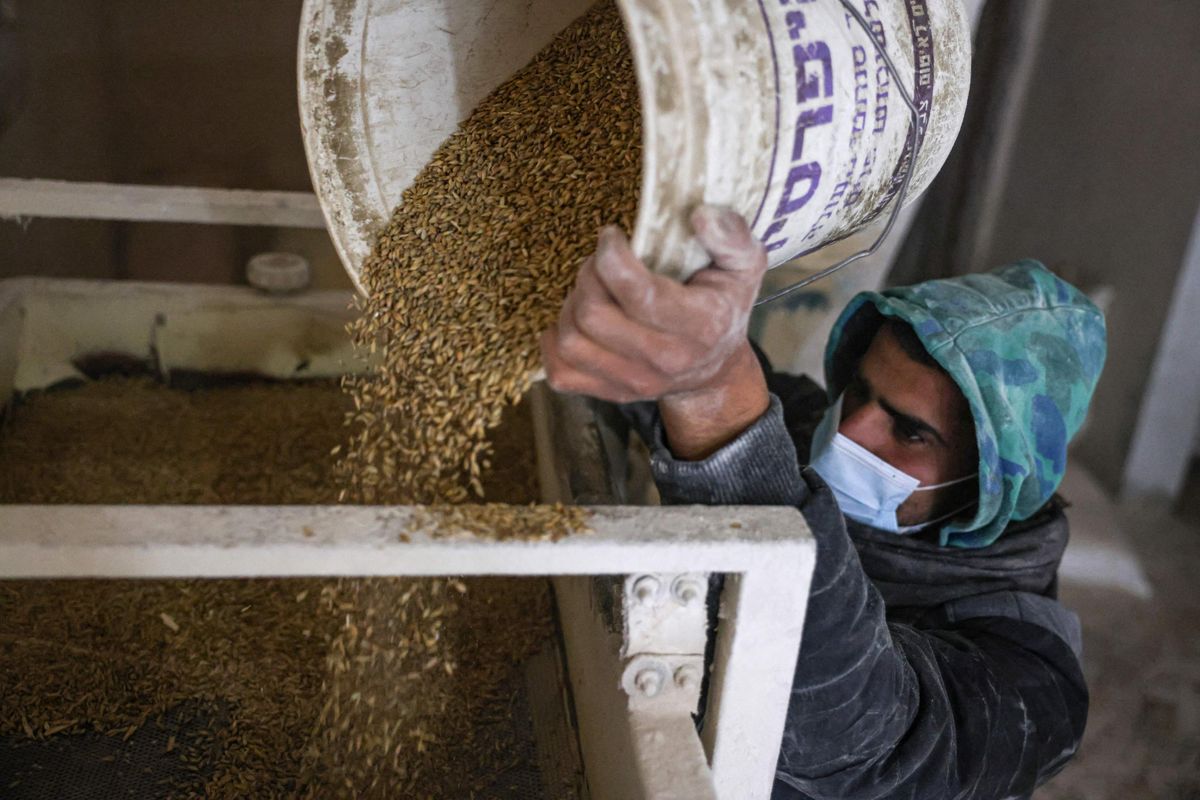a-palestinian-man-works-in-a-wheat-mill.