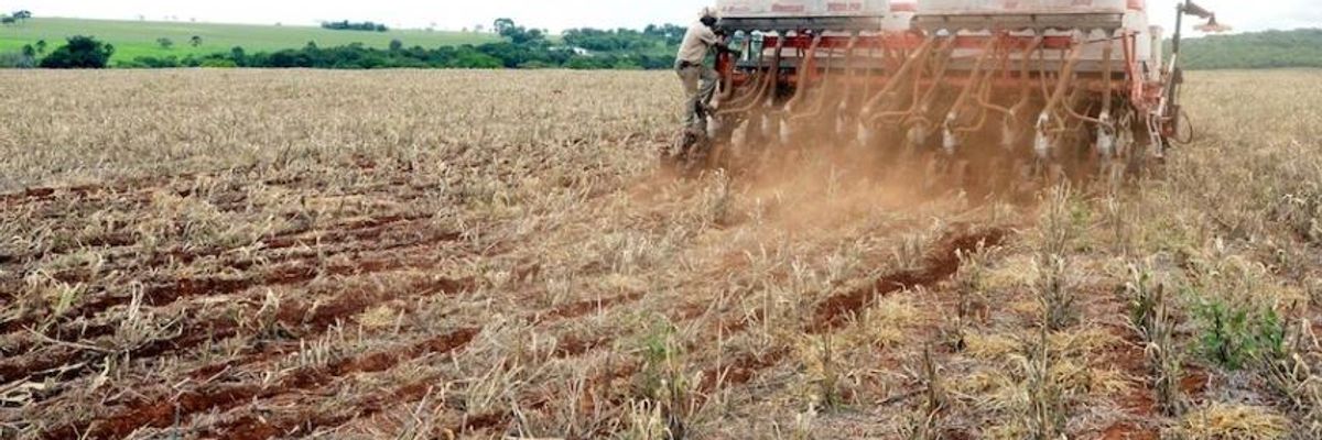 To Address the Climate Crisis, We Must Completely Rethink How We Produce and Consume Food