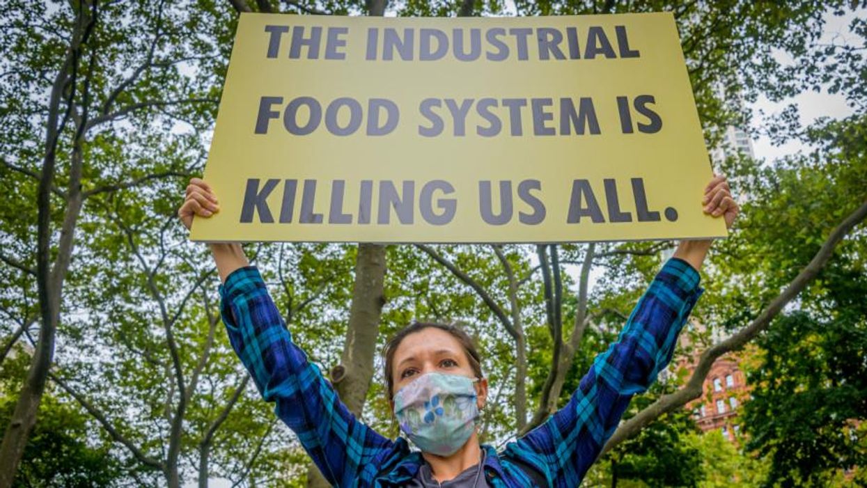 As We're Giving Thanks, Let's Resolve to Change Our Food System for the Better