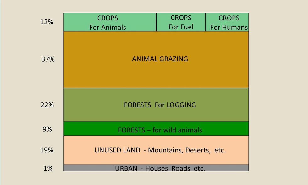 A picture containing timeline\nDescription automatically generated