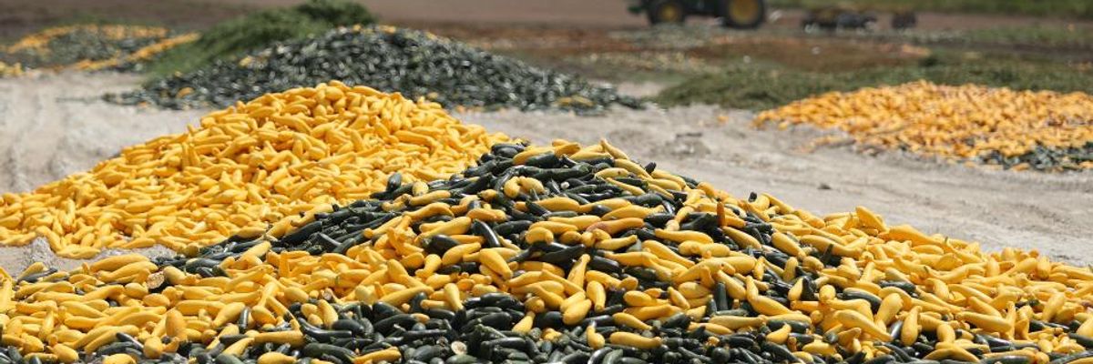 Amplifying Food Supply Chain Concerns, 230+ Coronavirus Cases Close Down Top US Pork Producer