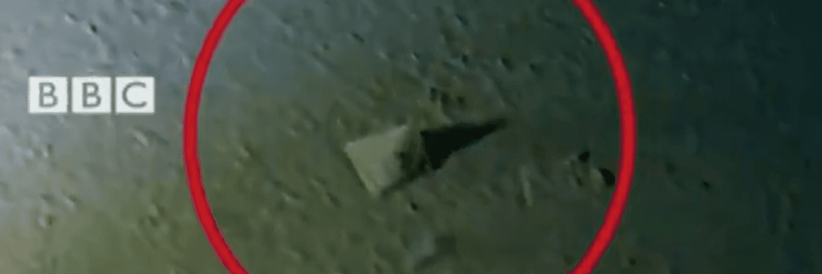 A plastic bag found on the bottom of the Mariana Trench