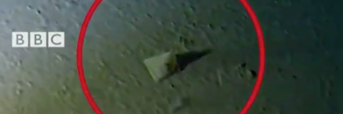 A plastic bag found on the bottom of the Mariana Trench