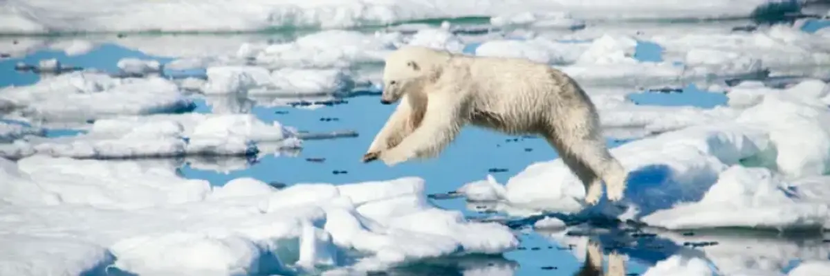 A Second Trump Term Would Be 'Game Over' for the Climate, Says Top Scientist