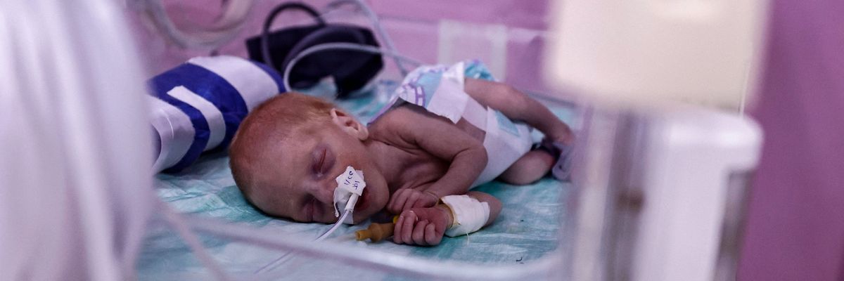 A premature Palestinian baby in an incubator