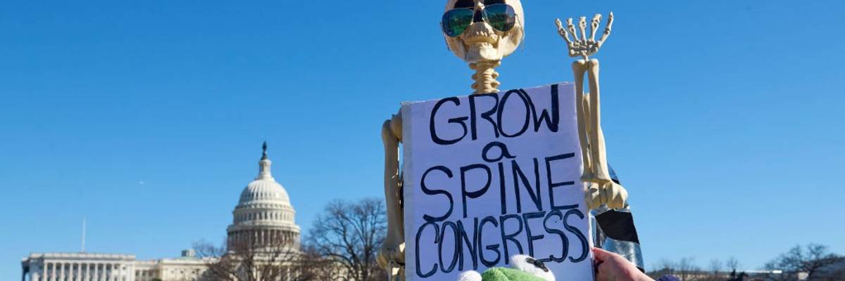 A protester holds a mock skeleton with a sign reading "Grow a Spine, Congress"