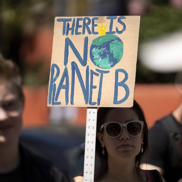 A protester is seen during a climate change demonstration