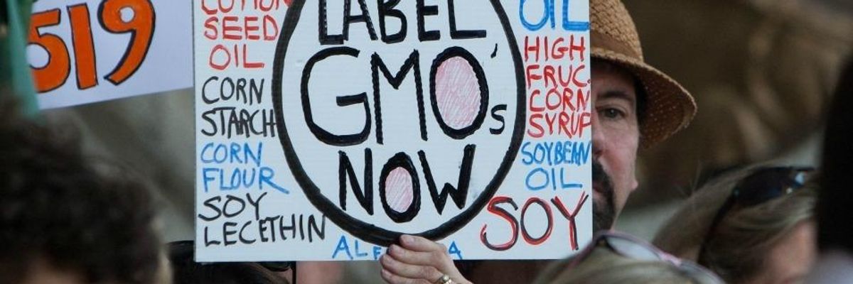 'Anything But Secure': Advocates Decry USDA Rule Allowing Big Ag to Set Its Own Regulations on GMOs