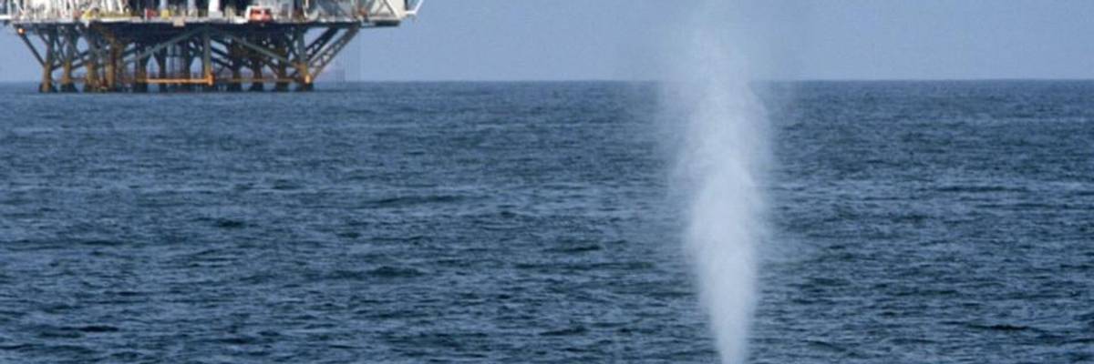 Trump Greenlights Another 'Violent, Destructive' Assault on Marine Life With Seismic Testing Approval