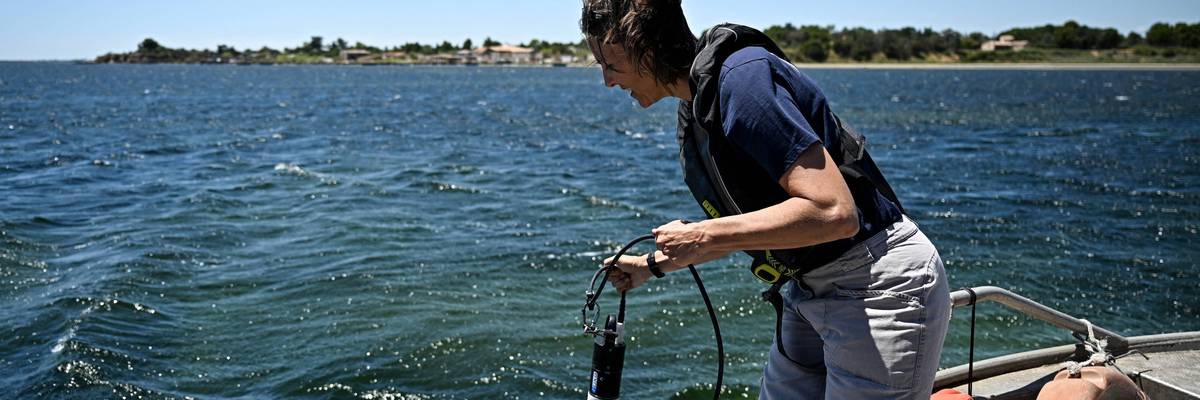 A researcher analyses ocean temperatures and oxygen levels
