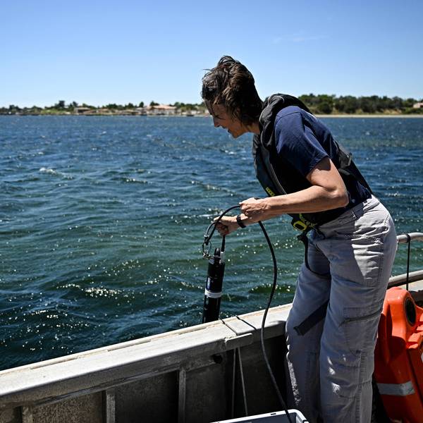 A researcher analyses ocean temperatures and oxygen levels
