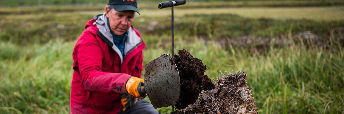 A researcher digs down to permafrost