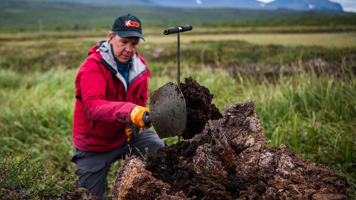 A researcher digs down to permafrost