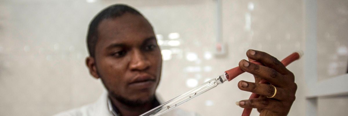 A researcher examines mosquitoes in a lab