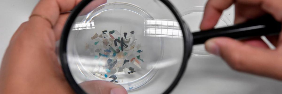 A researcher looks at microplastics through a magnifying glass.