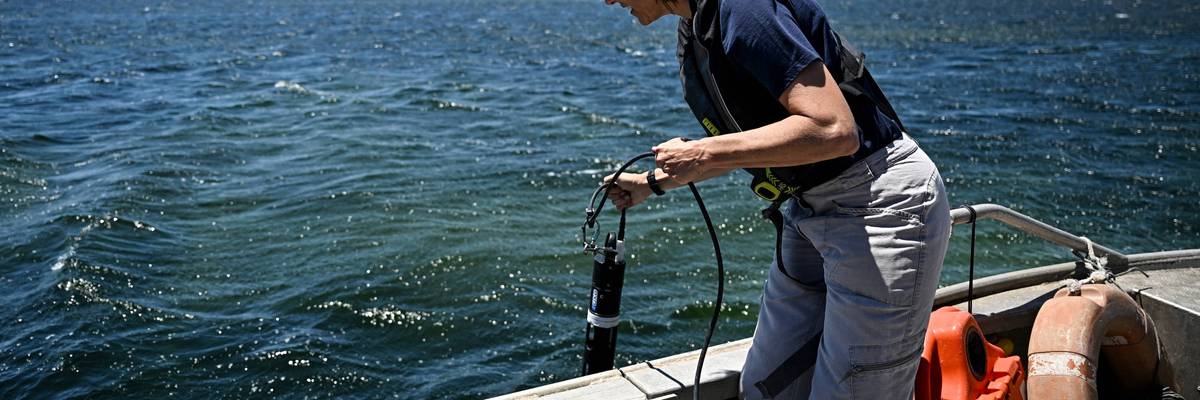 A researcher measures ocean temperatures and oxygen levels.
